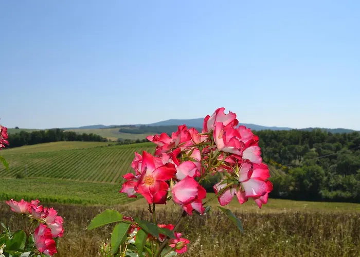 Cignanbianco