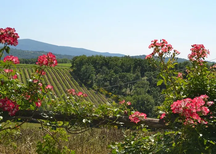 Cignanbianco Castellina in Chianti
